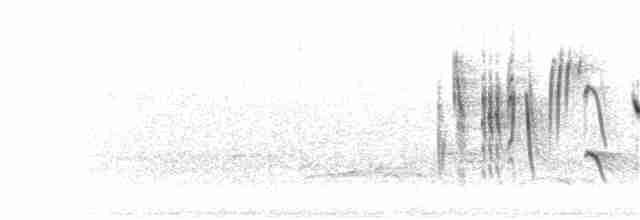 Iberien-Bartgrasmücke - ML305008