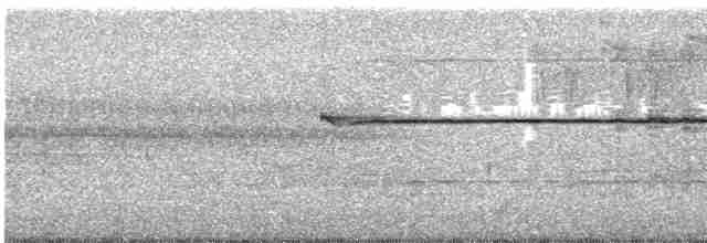 Ширококрылый канюк - ML30501511