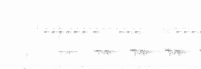 Stripe-chested Antwren - ML305059181