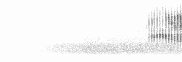 Трав’янка лучна - ML305093