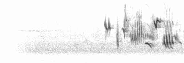 Трав’янка лучна - ML305129