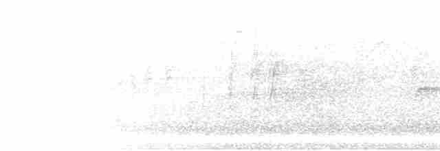 Audio Eurasian Sparrowhawk Accipiter Nisus Birds Of The World