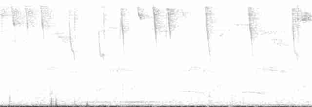 Ерміт-серподзьоб темнохвостий - ML305251351