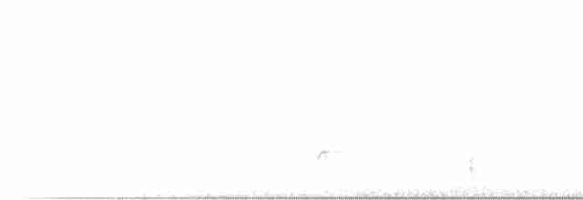Brown-crested Flycatcher - ML305343191