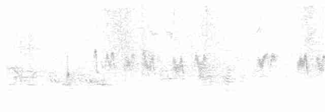 vlaštovka stromová - ML305347011