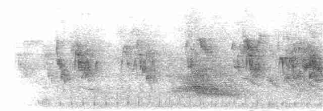 Cigogne blanche - ML305444