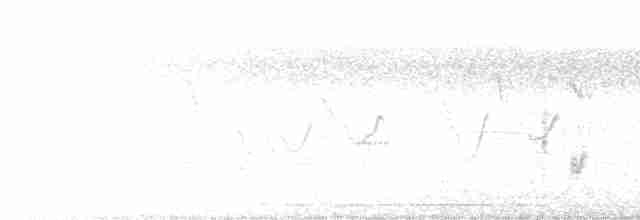 Long-tailed Shrike - ML305458891