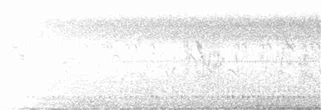 Long-tailed Shrike - ML305465871