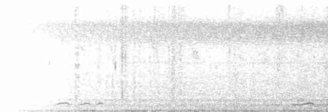 Clamorous Reed Warbler - ML305466901