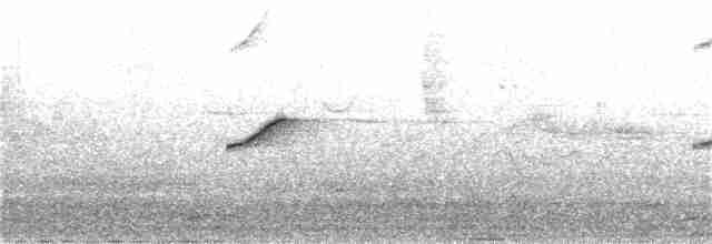 Plumbeous Redstart - ML30547881