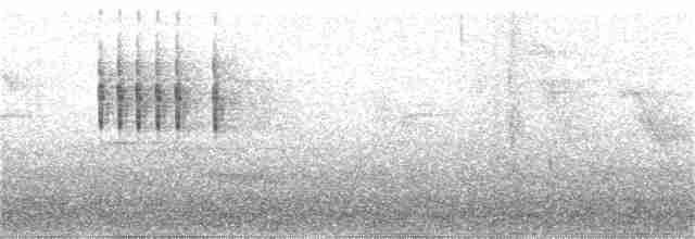 White-bellied Redstart - ML30548121