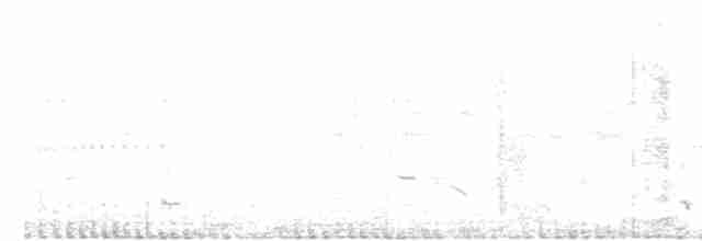 緋秧雞 - ML305494151