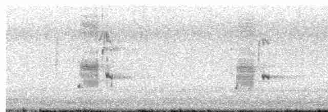Loggerhead Shrike - ML305522741
