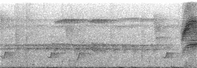 Пестрокрылый мухоед - ML305538081