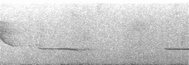 Серошапочный сорокопутовый виреон - ML305544041