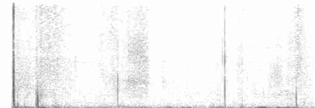 Скрытохвост татаупа - ML305561511