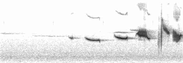 Горихвістка короткокрила - ML30559281