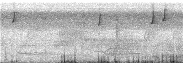 Conirostre oreillard - ML305595441