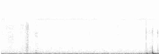 Common Yellowthroat - ML305617021