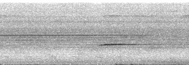 Полосатокрылый крапивник - ML30562