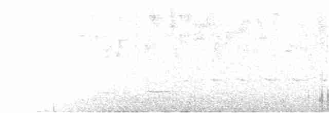 Синеспинный конусоклюв - ML305709141