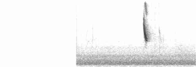 Чернобровая овсянка - ML305713811