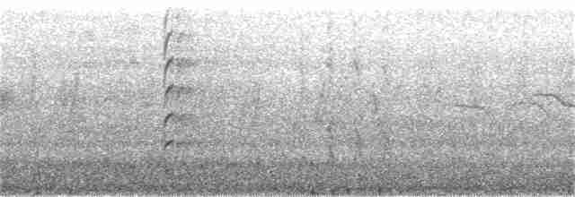 Большой пегий зимородок - ML305778881