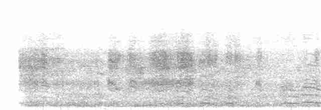 Short-tailed Shearwater - ML305856131