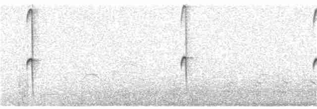 Исполинский колибри - ML305882531