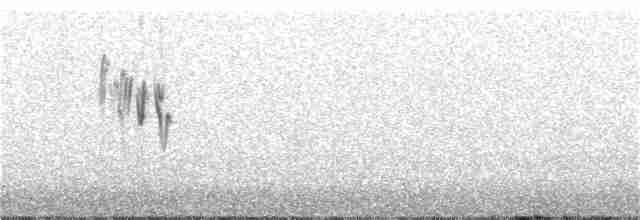 Щеврик андійський - ML305947581