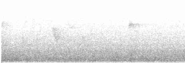 Evergreen-forest Warbler - ML305948731