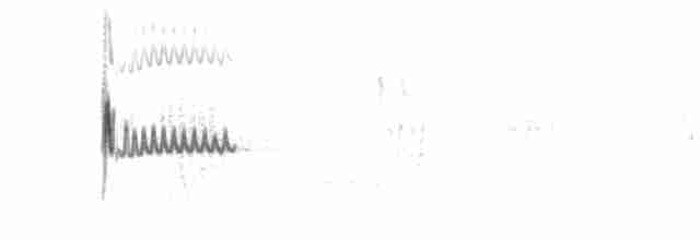 Скальный крапивник [группа obsoletus] - ML305974191
