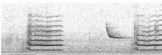 Common Gallinule - ML30597491