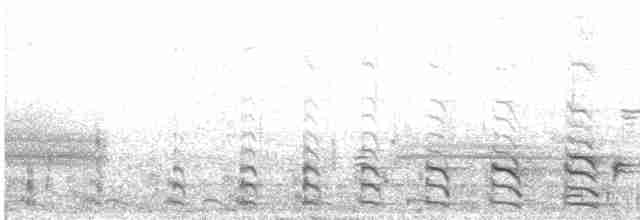 Common Gallinule - ML30597511