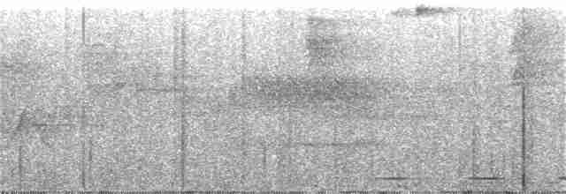 Товака бурогуза - ML305981161