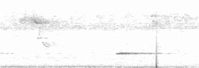 Small-billed Tinamou - ML306039241