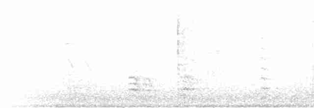 Weißbrustkleiber - ML306053