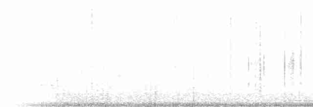 hvitbrynsvartspett - ML306060