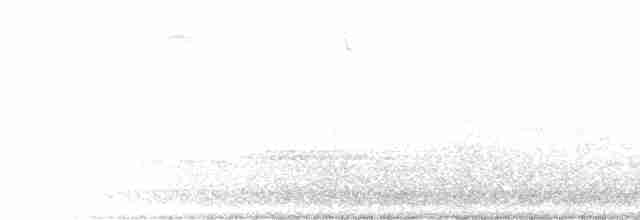 Weißbrustkleiber - ML306062