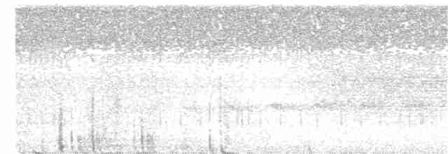 Tinamou de Bartlett - ML306064881