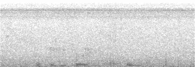 Çizgili Sırtlı Çıtkuşu - ML306120901