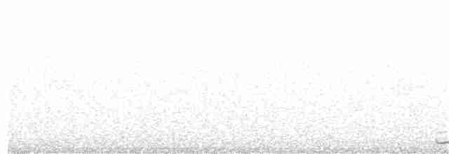 Madeirasturmvogel - ML306133551