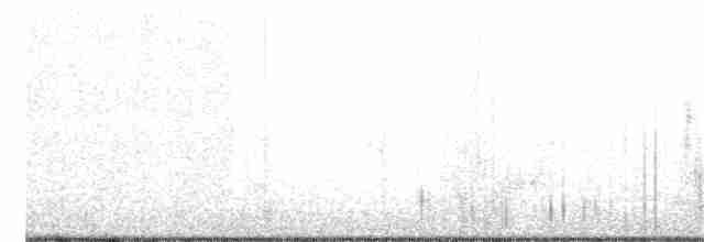 Paruline à croupion jaune (auduboni) - ML306206871