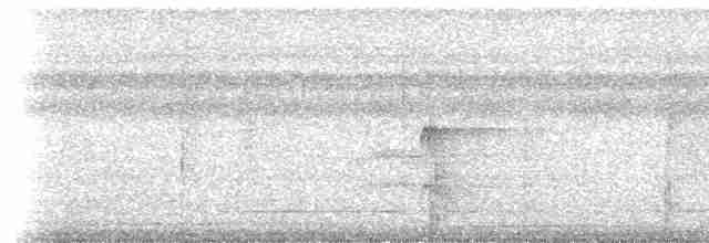 Graubrust-Ameisendrossel - ML306216