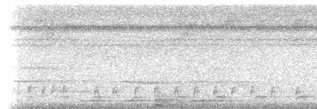 Graubrust-Ameisendrossel - ML306221