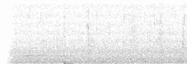 Красноплечий канюк - ML306229