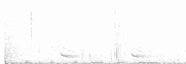 Малабарский трогон - ML306310241