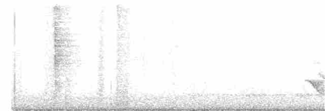 drozdec hnědý - ML306327991