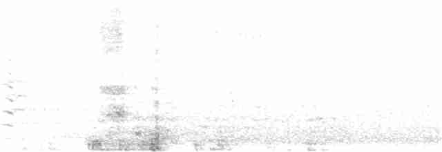 Краснохвостый траурный какаду - ML306382801