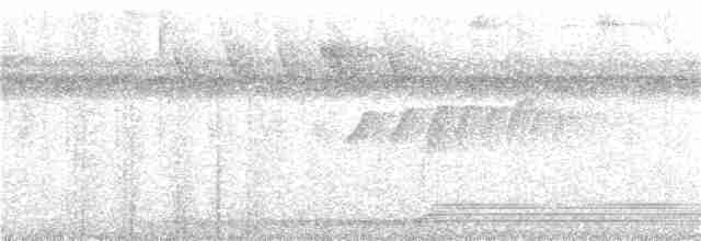 Шлемоносная чубатка - ML306435381